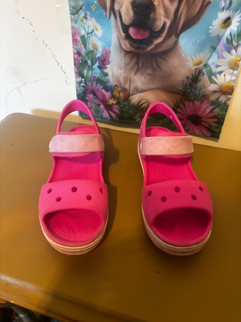 CROCS J3 Kids Pink Open-Toe Sandals with Hook-and-Loop Strap